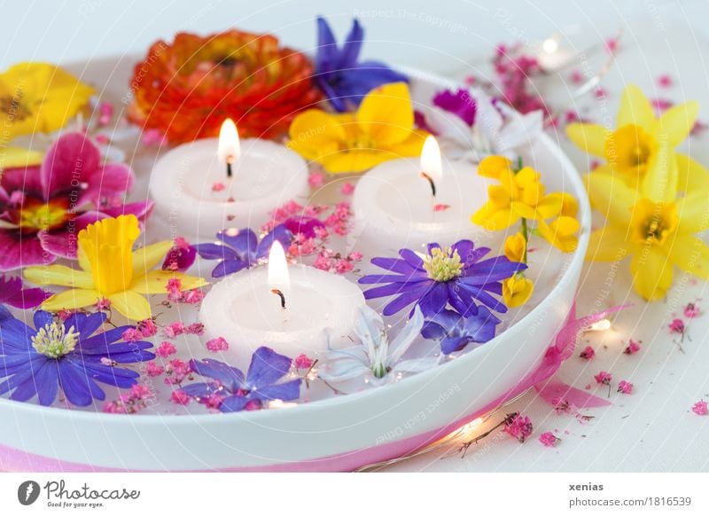 bunte Frühlingsblumen in weißer Wasserschale mit drei brennenden Kerzen Blüte Blume Schalen & Schüsseln Wellness Wohlgefühl Spa Feste & Feiern Ostern Narzissen
