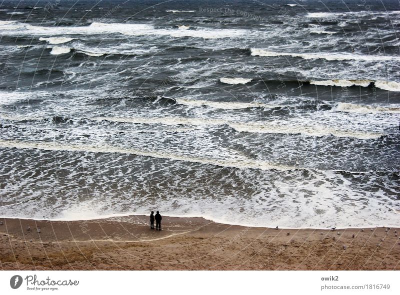 Planschbecken Frau Erwachsene Mann 2 Mensch Umwelt Natur Wasser Klima schlechtes Wetter Wind Sturm Wellen Küste Strand Ostsee beobachten genießen Blick stehen