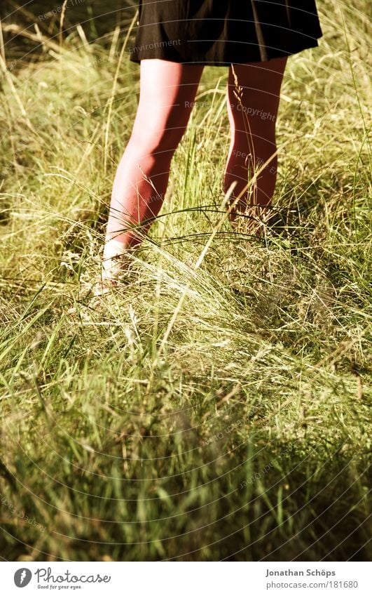 Rotkäppchen Lifestyle Mensch feminin Junge Frau Jugendliche 1 18-30 Jahre Erwachsene Leggings grün rosa schwarz Beine Rock Kleid Gras Natur stehen anonym Stil