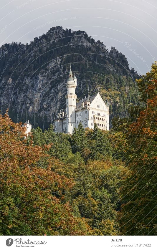 Neuschwanstein herbstlich III Stil Ferien & Urlaub & Reisen Tourismus Sightseeing Berge u. Gebirge Traumhaus Landschaft Herbst Schönes Wetter Baum Wald Laubwald