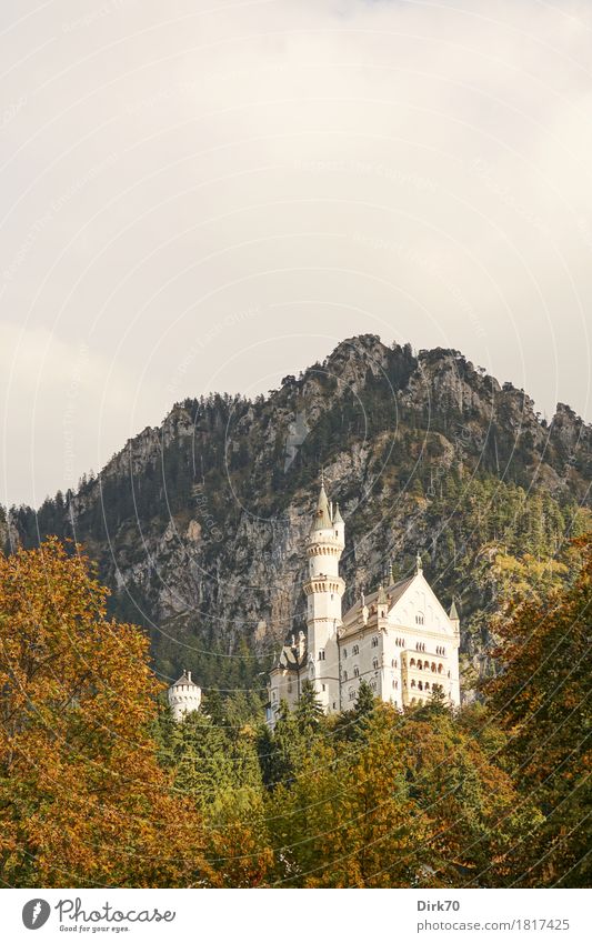 Neuschwanstein herbstlich II Ferien & Urlaub & Reisen Tourismus Sightseeing Berge u. Gebirge Natur Landschaft Wolken Herbst Schönes Wetter Baum Herbstwald