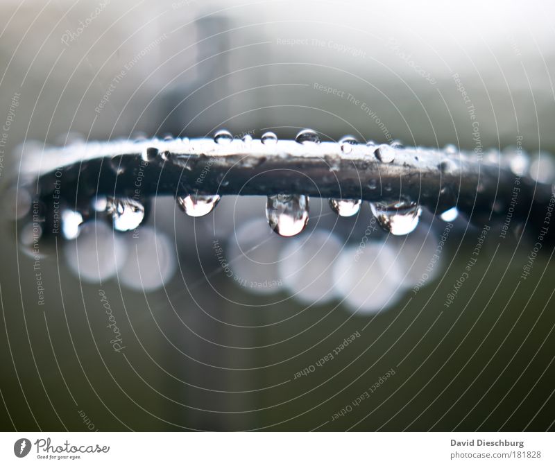 Ring of Tears Farbfoto Nahaufnahme Detailaufnahme Makroaufnahme Tag Licht Kontrast Reflexion & Spiegelung Sonnenlicht Unschärfe Zentralperspektive Umwelt Natur