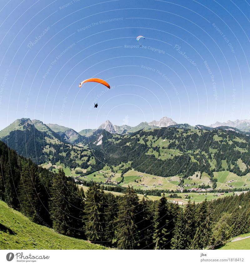Gleitschirme in Gstaad Lifestyle harmonisch Zufriedenheit ruhig Freizeit & Hobby Ausflug Freiheit Berge u. Gebirge Sport Gleitschirmfliegen Sportstätten Natur