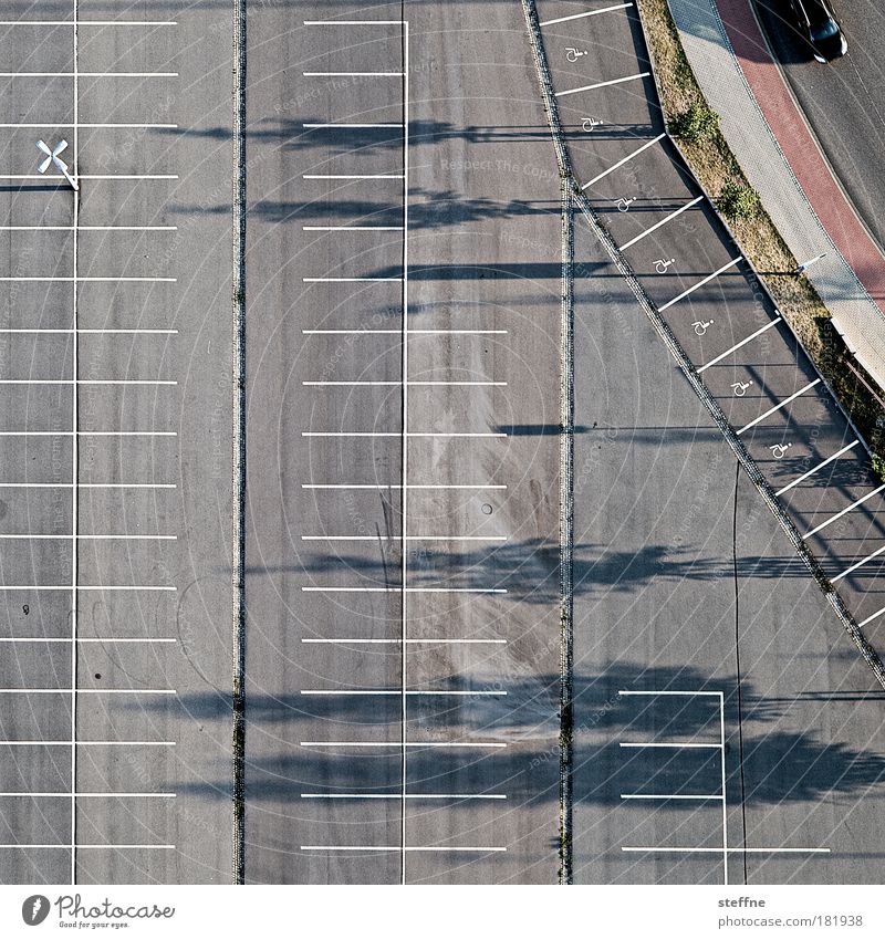 Parkanlage Farbfoto Außenaufnahme Luftaufnahme Muster Strukturen & Formen Menschenleer Morgendämmerung Tag Dämmerung Schatten Vogelperspektive Stadt