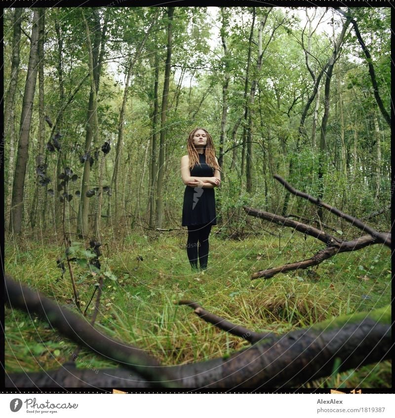 wild im Wald harmonisch Erholung Ausflug Junge Frau Jugendliche Körper 18-30 Jahre Erwachsene Natur Landschaft Pflanze Schönes Wetter Ast Sträucher Kleid