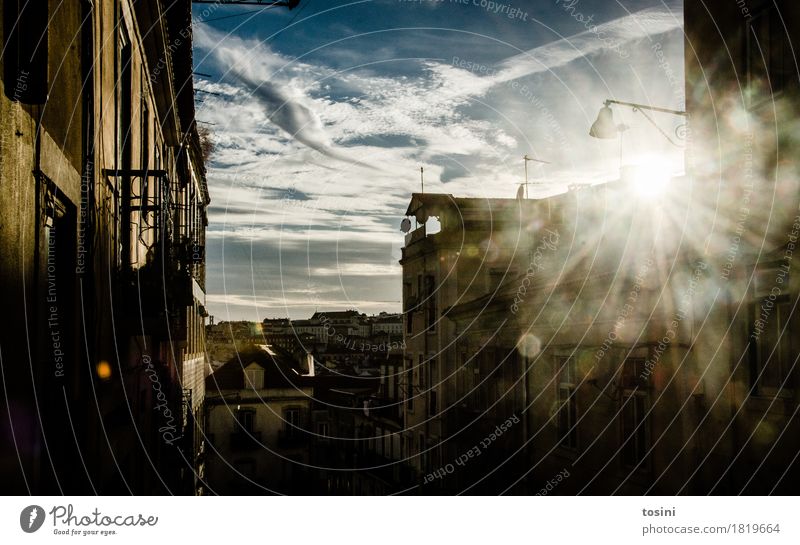 Lissabon II Farbfoto Außenaufnahme Menschenleer Textfreiraum oben Tag Licht Kontrast Reflexion & Spiegelung Sonnenlicht Sonnenstrahlen Gegenlicht Stadt