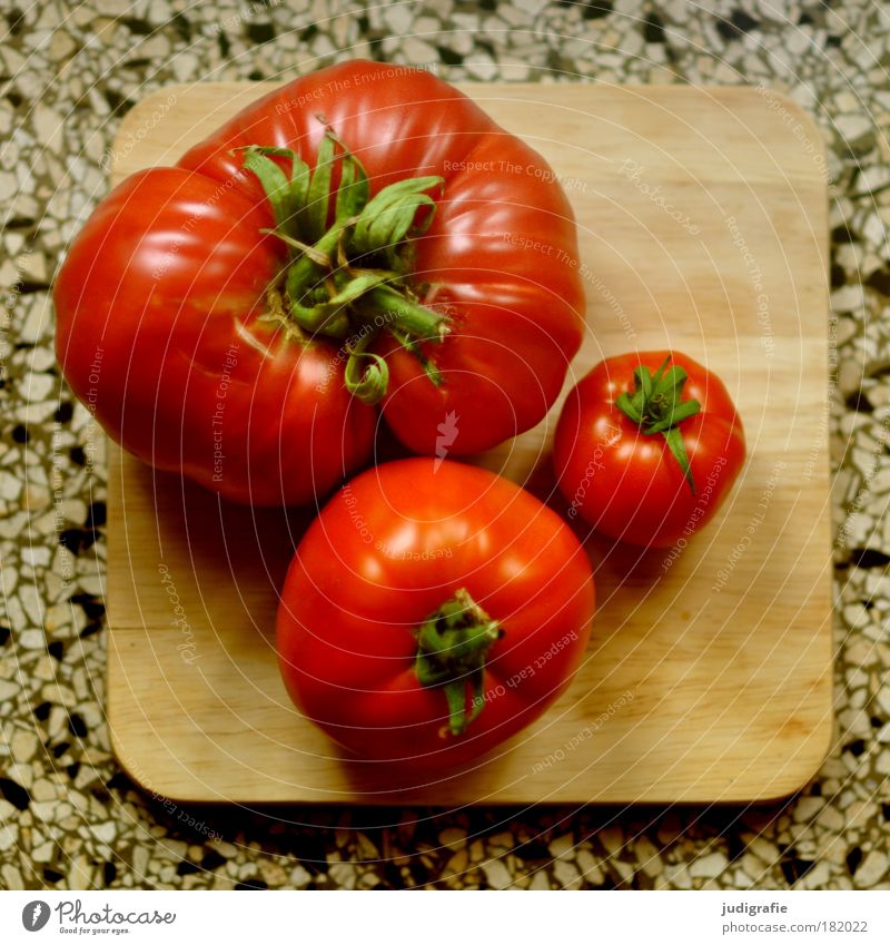 Tomaten Farbfoto Lebensmittel Gemüse Ernährung Bioprodukte Vegetarische Ernährung Schneidebrett Gesundheit groß einzigartig klein rund saftig rot Zufriedenheit