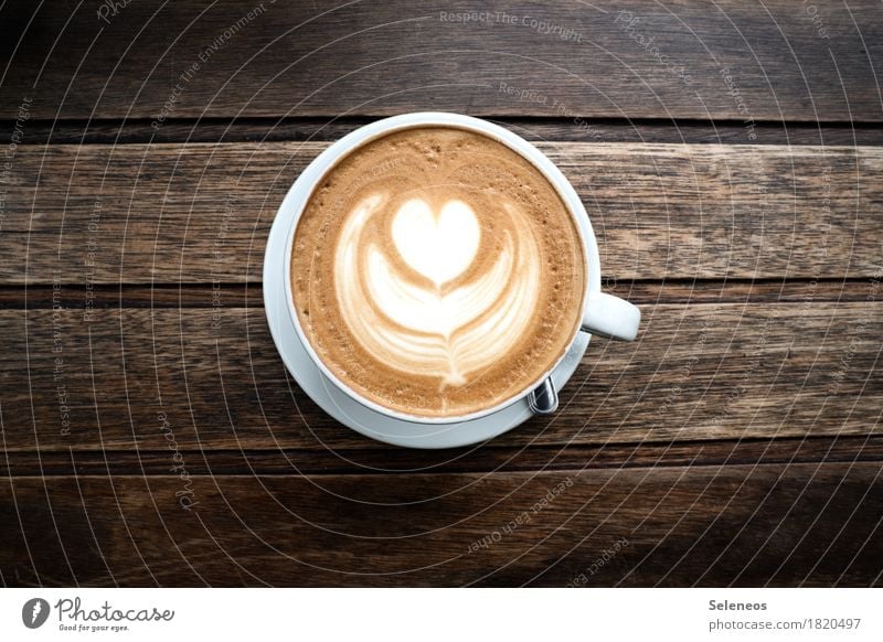 Es ist Zeit Lebensmittel Ernährung Getränk trinken Heißgetränk Kaffee Latte Macchiato Tasse harmonisch Wohlgefühl Zufriedenheit Erholung ruhig genießen Farbfoto
