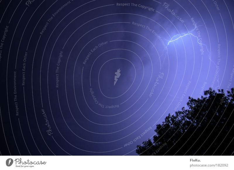 Funkenentladung II Farbfoto Außenaufnahme Menschenleer Textfreiraum links Nacht Umwelt Natur Urelemente Himmel Gewitterwolken Klima Klimawandel Wetter