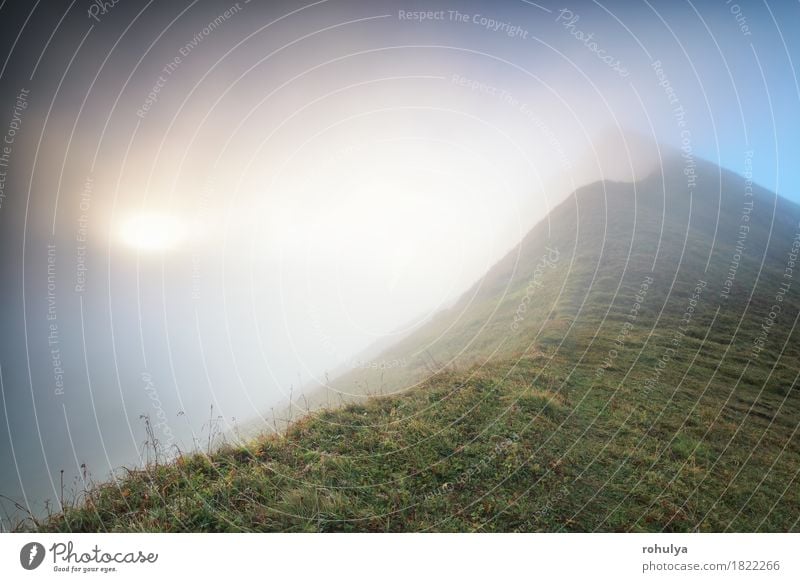 Bergspitze im Nebel bei Sonnenaufgang, Alpen, Deutschland Berge u. Gebirge Klettern Bergsteigen Natur Landschaft Gras Wiese Felsen Wege & Pfade Gelassenheit