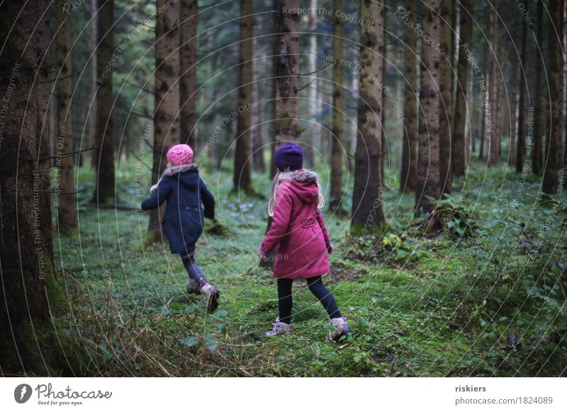 im wald zu hause Mensch feminin Kind Mädchen Geschwister Schwester Kindheit 2 3-8 Jahre Umwelt Natur Landschaft Herbst Wald entdecken Erholung rennen Spielen