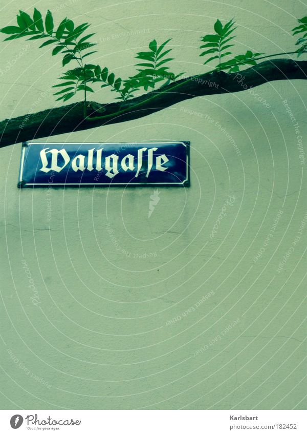 wallgasse. button. Wallgasse Wien Straßennamenschild Emaille Emailleschild historisch Nostalgie Wand Textfreiraum unten Ast Gasse Frakturschrift Wort