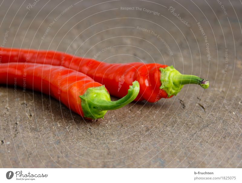 Chilischoten Gemüse Kräuter & Gewürze rot Scharfer Geschmack pepperoni Holzbrett Würzig Peperoni Vegetarische Ernährung Farbfoto Innenaufnahme Nahaufnahme