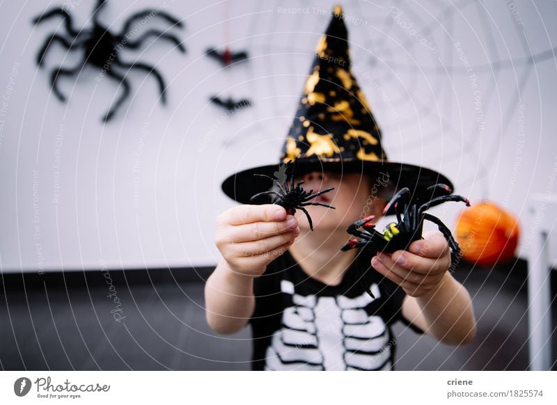 Kleinkind mit Halloween-Kostüm und Spinne spielt zu Hause Lifestyle Freude Spielen Dekoration & Verzierung Mensch Junge Kindheit 1 Herbst Tier niedlich Angst
