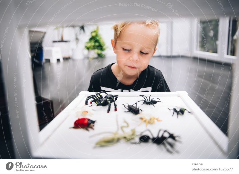 Kaukasischer kleiner Junge, der zu Hause mit Spinne spielt, spielt Lifestyle Freude Spielen Kinderspiel Raum Wohnzimmer Kinderzimmer Bildung Wissenschaften