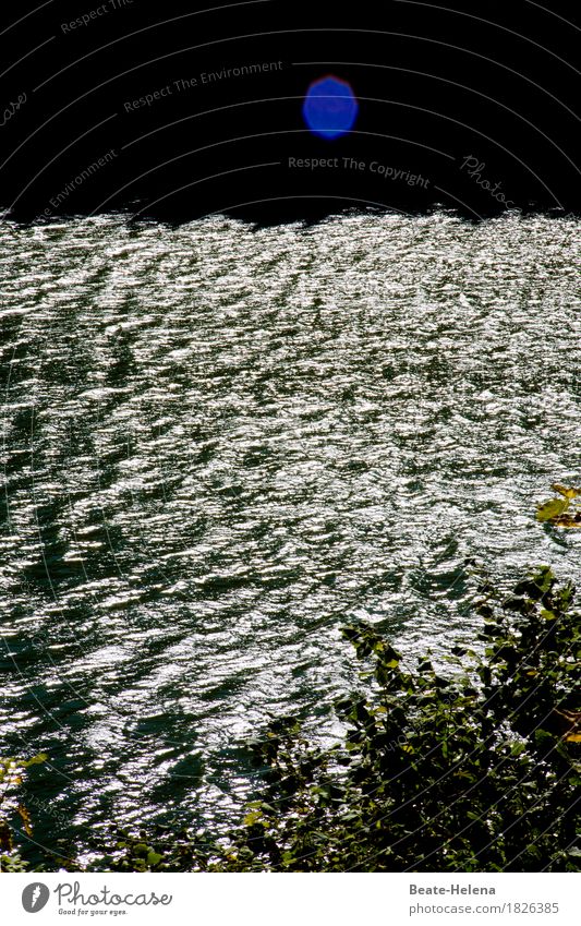 Wasser-spiegel-ei Wasserkraftwerk Umwelt Natur Landschaft Wassertropfen Himmel Wetter Schönes Wetter Baum Flussufer Dorf Sehenswürdigkeit glänzend