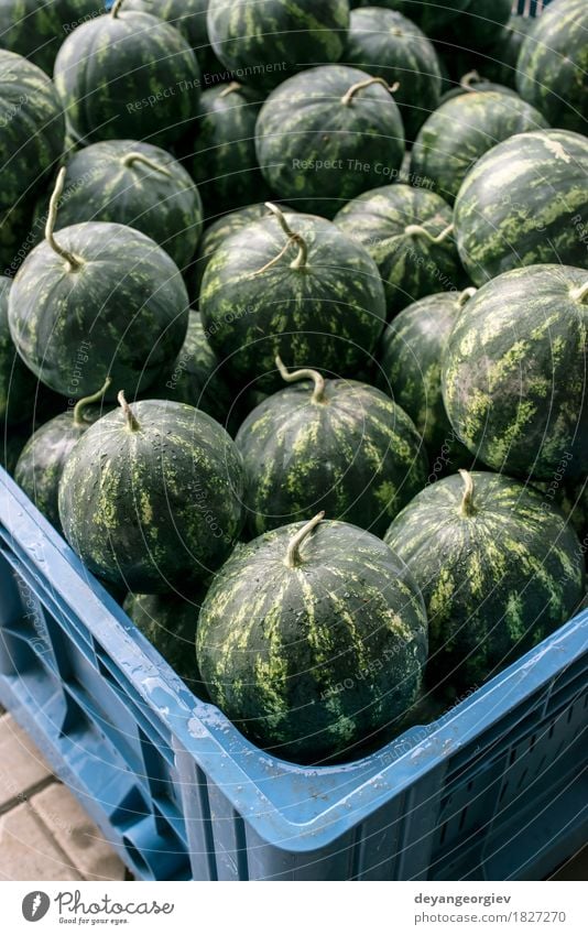 Wassermelonen in einer großen Kiste Frucht Dessert Ernährung Diät Sommer Natur frisch lecker natürlich saftig grün rot Markt Hintergrund Melonen süß organisch