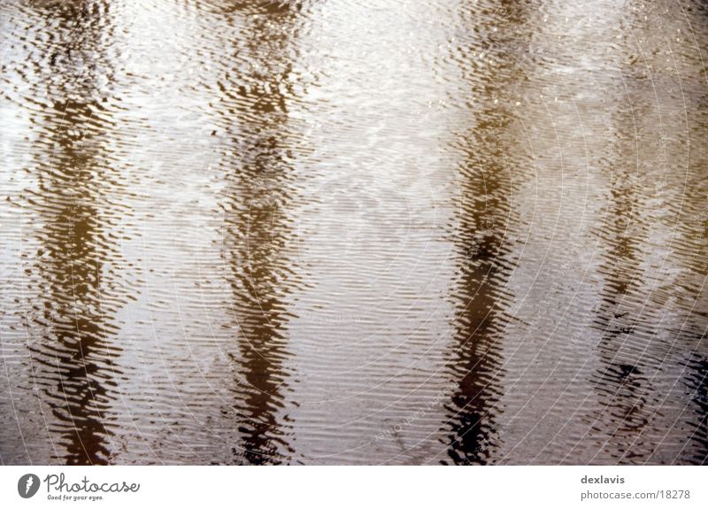 Spreewald Baum Wellen Reflexion & Spiegelung Wasser Fluss