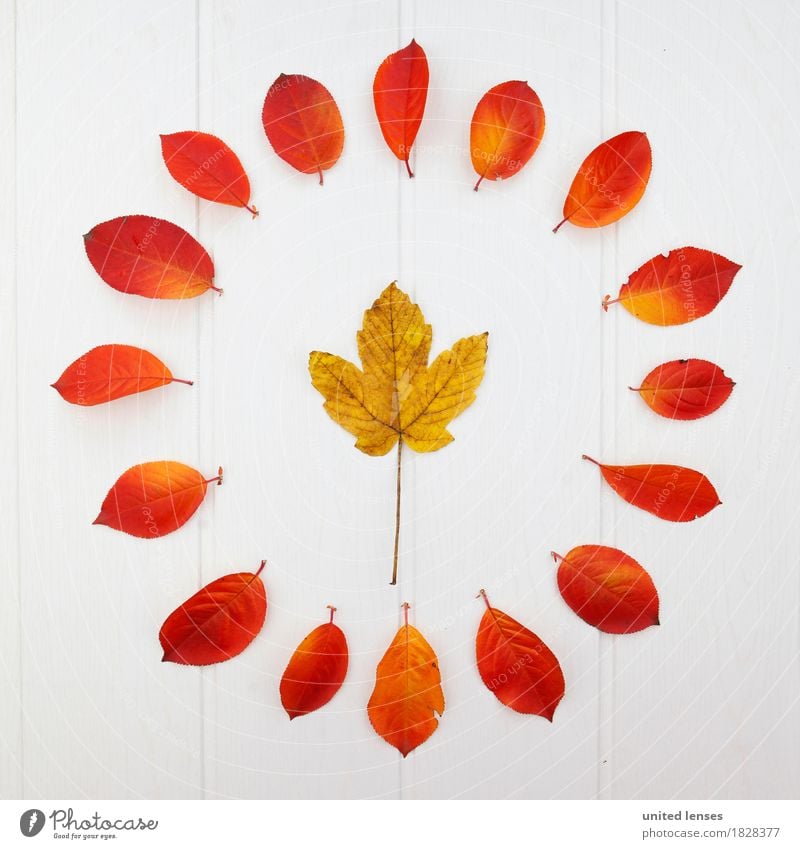 AK# Der Herbst und seine Blätter VI Kunst Kunstwerk ästhetisch Blatt herbstlich Herbstlaub Herbstfärbung Herbstbeginn Herbstwald Herbstwetter Herbstwind