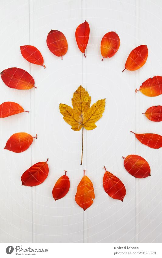 AK# Der Herbst und seine Blätter V Kunst Kunstwerk ästhetisch herbstlich Herbstlaub Herbstfärbung Herbstbeginn Herbstwald Herbstwetter Herbstlandschaft