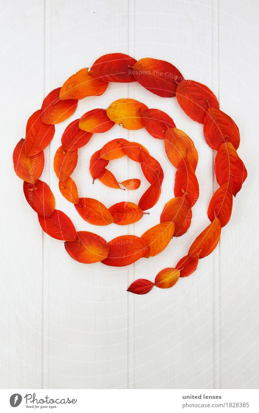 AK# Der Herbst und seine Blätter II Kunst Kunstwerk ästhetisch Kreis kreisrund Kreisbewegung Spirale rot orange weiß Symmetrie graphisch Wasserwirbel herbstlich