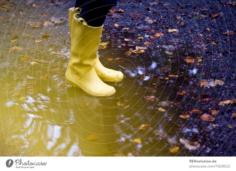 die gelben Gummistiefel feminin Fuß 1 Mensch Herbst Wetter schlechtes Wetter Blatt Wasser stehen trendy nass Freude Lebensfreude Pfütze Farbfoto Außenaufnahme