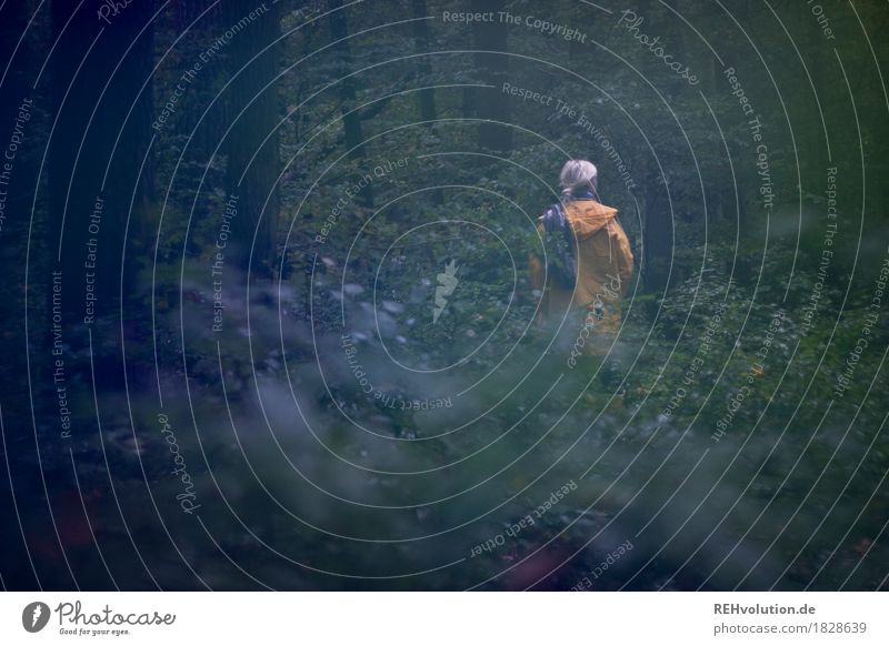 Jule | allein im Wald Mensch feminin Rücken 1 18-30 Jahre Jugendliche Erwachsene Umwelt Natur Landschaft Herbst Wetter schlechtes Wetter Pflanze Baum Sträucher