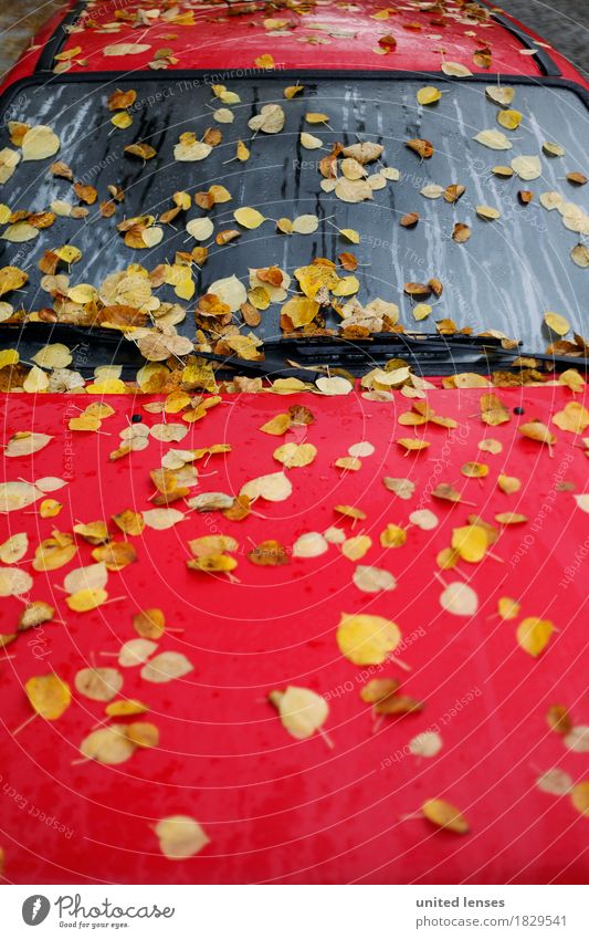 AK# Herbst-Rot Verkehr Verkehrsmittel Verkehrswege ästhetisch Endzeitstimmung herbstlich Herbstlaub Herbstfärbung Herbstbeginn Herbstwetter Herbstwind Blatt rot
