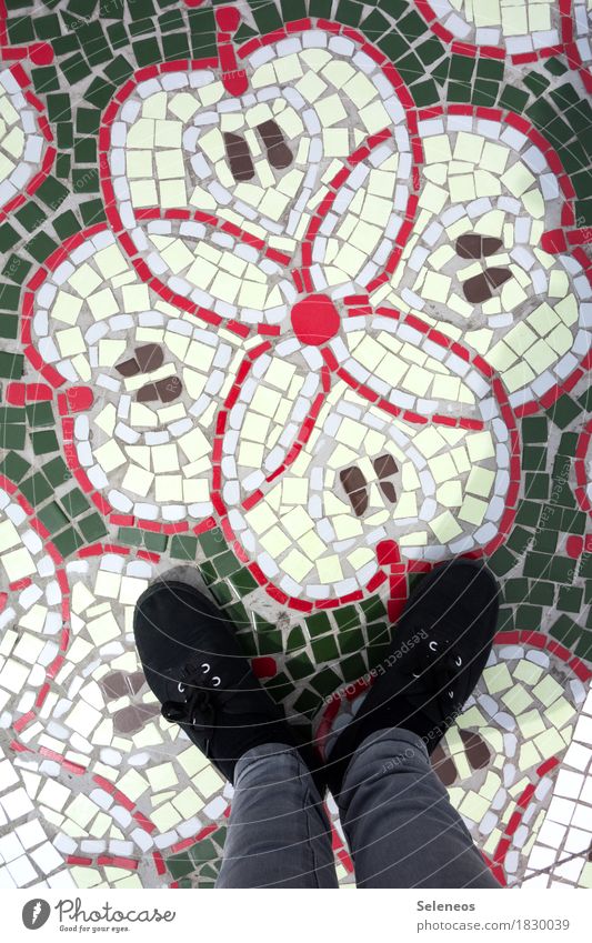 Apfelkerne Lebensmittel Frucht Ernährung Vegetarische Ernährung Diät Fasten Mensch Beine Fuß 1 Schuhe Dekoration & Verzierung Mosaik Zeichen Ornament Gesundheit
