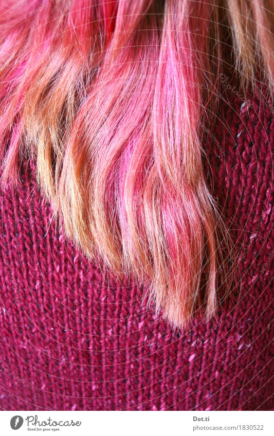 dip dye Mensch feminin Junge Frau Jugendliche Erwachsene Haare & Frisuren 1 Pullover langhaarig rosa selbstbewußt Coolness einzigartig Farbe Haarsträhne