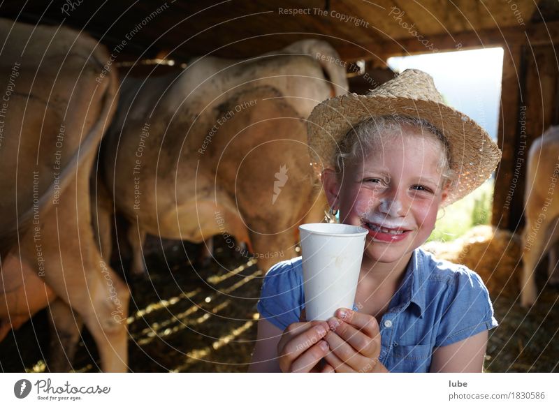 Frischmilch Lebensmittel Getränk trinken Erfrischungsgetränk Milch Becher Gesundheit Landwirtschaft Forstwirtschaft Kuh milchbart Milchbar jungbäuerin Farbfoto