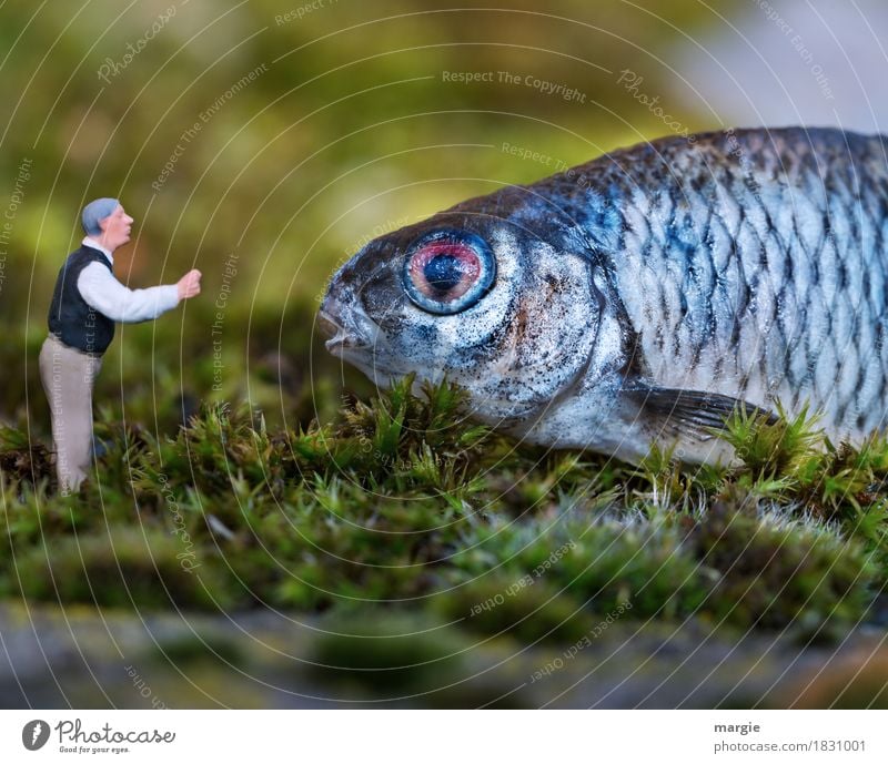 Miniwelten - Ansprache Mensch maskulin Mann Erwachsene 1 Tier Nutztier Wildtier Fisch Tiergesicht Schuppen sprechen blau grün Tierliebe Figur Miniatur Moos