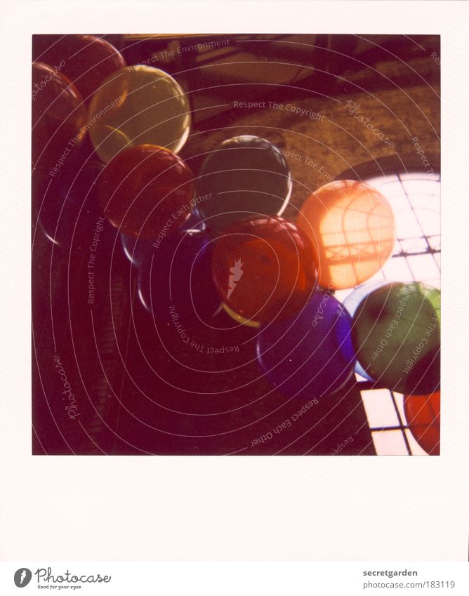 oben. Farbfoto mehrfarbig Innenaufnahme Polaroid Menschenleer Textfreiraum oben Textfreiraum unten Sonnenlicht Gegenlicht Froschperspektive Veranstaltung