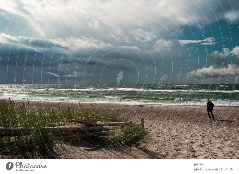 Gegen den Wind Farbfoto Gedeckte Farben Außenaufnahme Textfreiraum oben Tag Sonnenstrahlen Ferien & Urlaub & Reisen Strand Meer Wellen Mensch Frau Erwachsene