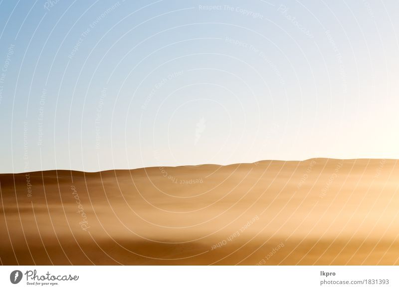 Sanddüne in Oman alten Wüste Rub al khali schön Ferien & Urlaub & Reisen Abenteuer Safari Sommer Haus Natur Landschaft Pflanze Himmel Horizont Wind Nebel Park
