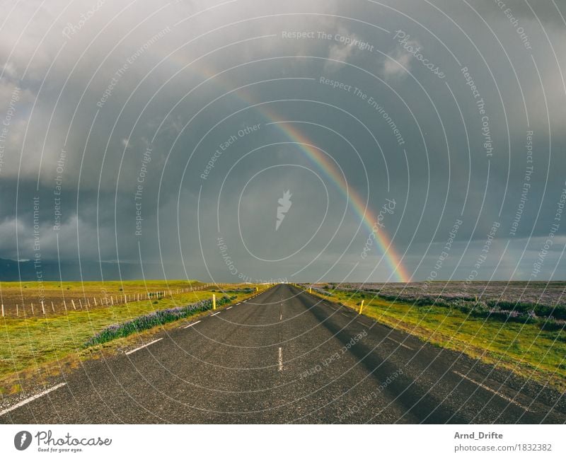 Straße und Regenbogen in Island Ferien & Urlaub & Reisen Tourismus Ausflug Abenteuer Ferne Freiheit Umwelt Landschaft Pflanze Luft Himmel Wolken Gewitterwolken