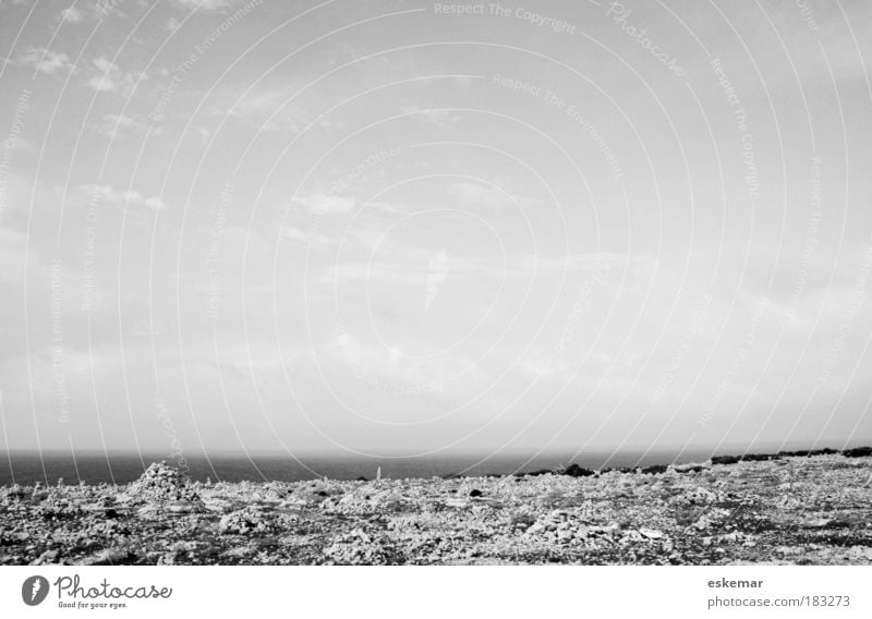 lonesome Schwarzweißfoto Außenaufnahme Menschenleer Textfreiraum oben Textfreiraum Mitte Hintergrund neutral Tag Sonnenlicht Weitwinkel Natur Landschaft