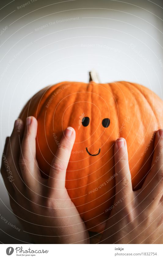 Kürbiskopf Freundlichkeit Lächeln Smiley groß Dickkopf orange festhalten Gesicht Kürbiszeit Halloween niedlich Knopfauge hochhalten lustig