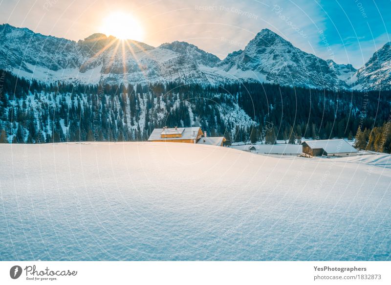 Alpiner Winter an einem sonnigen Tag Design Ferien & Urlaub & Reisen Tourismus Sonne Schnee Berge u. Gebirge Haus Natur Landschaft Wetter Baum Wald Alpen Gipfel