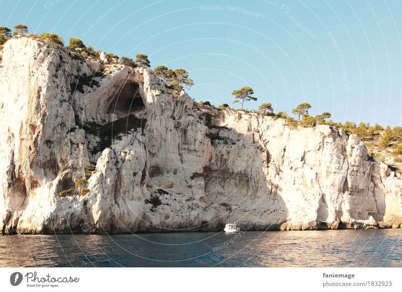 Calcaire Umwelt Natur fahren Kalkstein Felswand Calanque d'en Vau Cassis Mittelmeer Provence mediterran Pinie Baum Höhle Stein Felsen Wasserfahrzeug Meer
