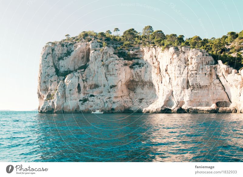 Calanques Umwelt Natur Landschaft Urelemente Wasser Wolkenloser Himmel Sonne Schönes Wetter Baum Wellen Küste Meer Schwimmen & Baden Calanque d'en Vau Marseille