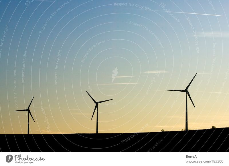 Windkraft Energiewirtschaft Erfolg Technik & Technologie Fortschritt Zukunft Erneuerbare Energie Sonnenenergie Windkraftanlage Umwelt Natur Landschaft Luft