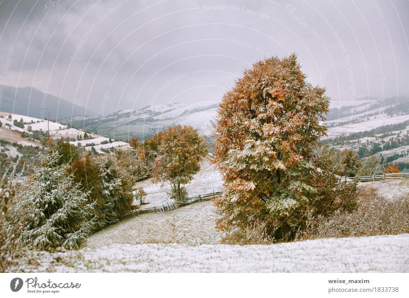 Erster Schnee im Herbst. Schneefälle in Bergen Ferien & Urlaub & Reisen Tourismus Ausflug Abenteuer Ferne Freiheit Winter Berge u. Gebirge wandern Umwelt Natur