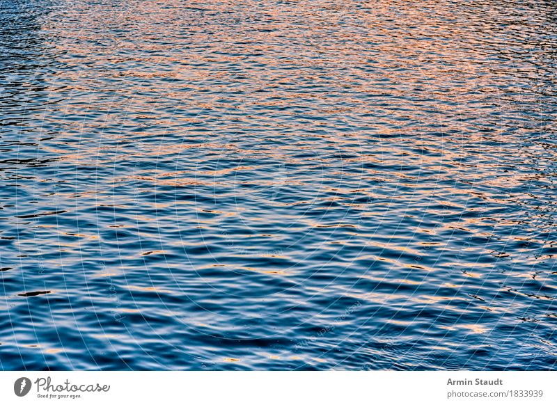 Wasserhintergrund Umwelt Natur Landschaft Urelemente Frühling Sommer Herbst Schönes Wetter Wellen Meer See Fluss ästhetisch Flüssigkeit glänzend nass positiv