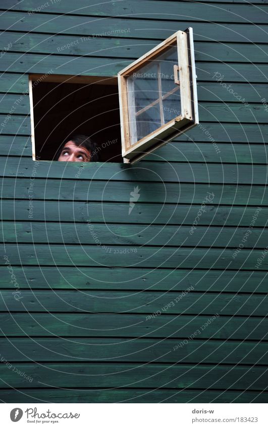 versteckt Blick nach oben maskulin Junger Mann Jugendliche Erwachsene Kopf beobachten frech verstecken Fenster Haus Wand grün Streifen waagrecht offen