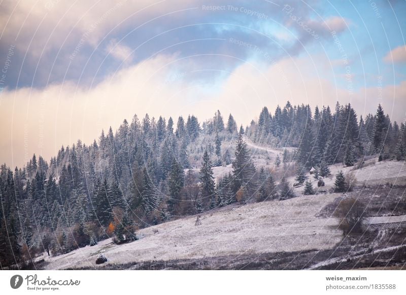 Erster Schnee im Herbst. Schneefälle in Bergen Ferien & Urlaub & Reisen Tourismus Ausflug Winter Berge u. Gebirge Umwelt Natur Landschaft Pflanze Wolken Klima