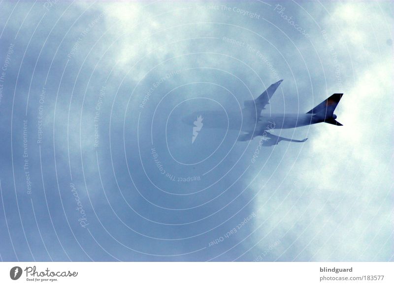 Flight Of Icarus Farbfoto Außenaufnahme Menschenleer Tag Pilot Luftverkehr Himmel Wolken Gewitterwolken Wetter Unwetter Wind Personenverkehr Flugzeug