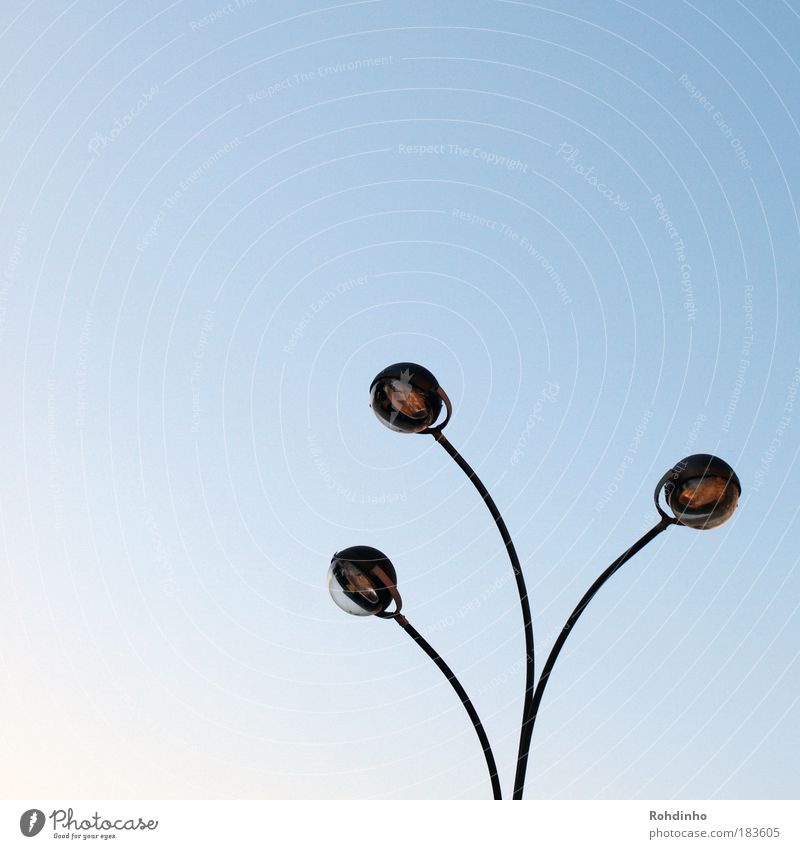 Lichtfühler Farbfoto Außenaufnahme Menschenleer Textfreiraum links Textfreiraum oben Tag elegant Sightseeing Städtereise Lampe Energiewirtschaft