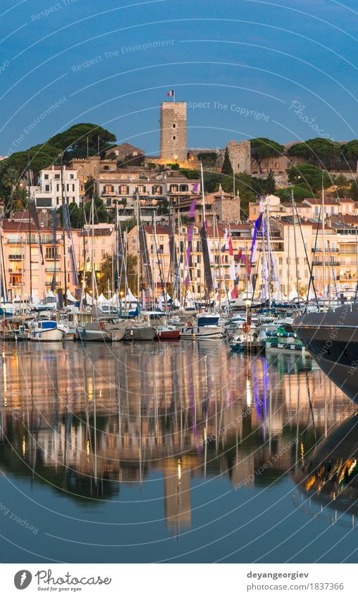 Yachten in der Bucht von Cannes in der Nacht Ferien & Urlaub & Reisen Meer Segeln Landschaft Himmel Küste Kleinstadt Stadt Gebäude Jacht Wasserfahrzeug