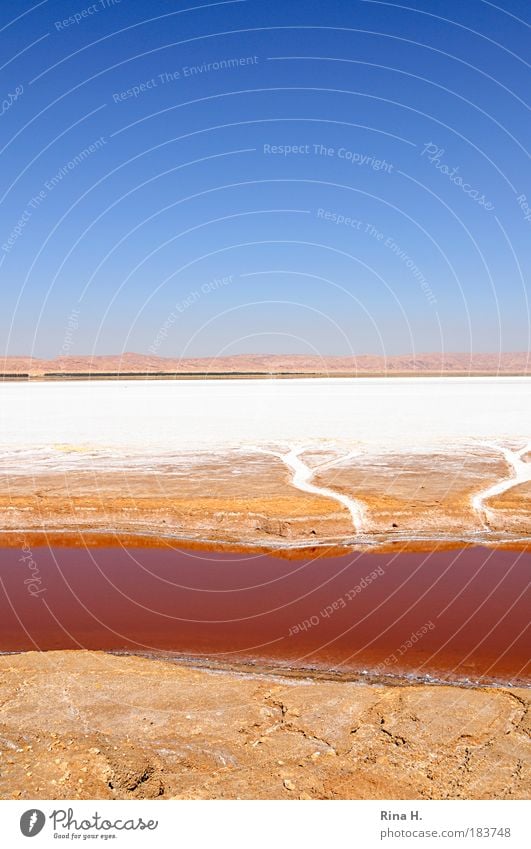 Farbrausch Natur Landschaft Urelemente Erde Sand Wasser Wolkenloser Himmel Sonnenlicht Wüste leuchten dehydrieren ästhetisch authentisch Unendlichkeit nass